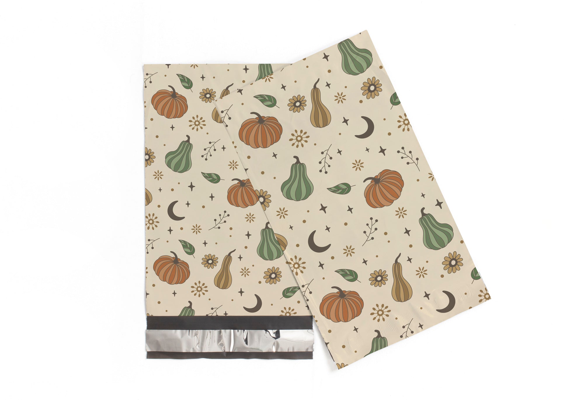 Oh My Gourd Fall 6x9 Polymailers