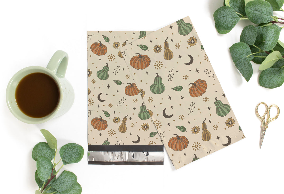 Oh My Gourd Fall 6x9 Polymailers