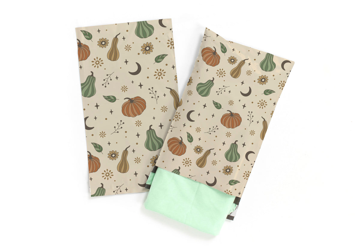 Oh My Gourd Fall 6x9 Polymailers